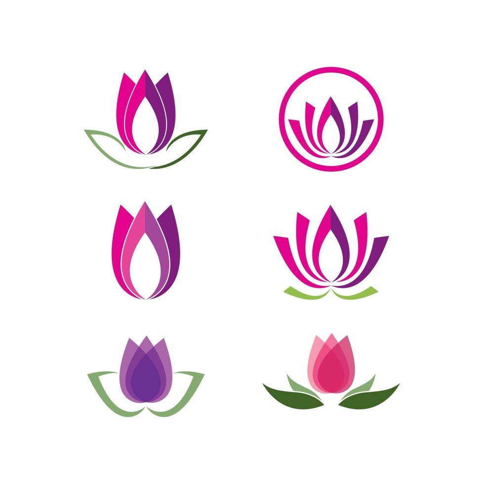 ilustración de flores de loto vector