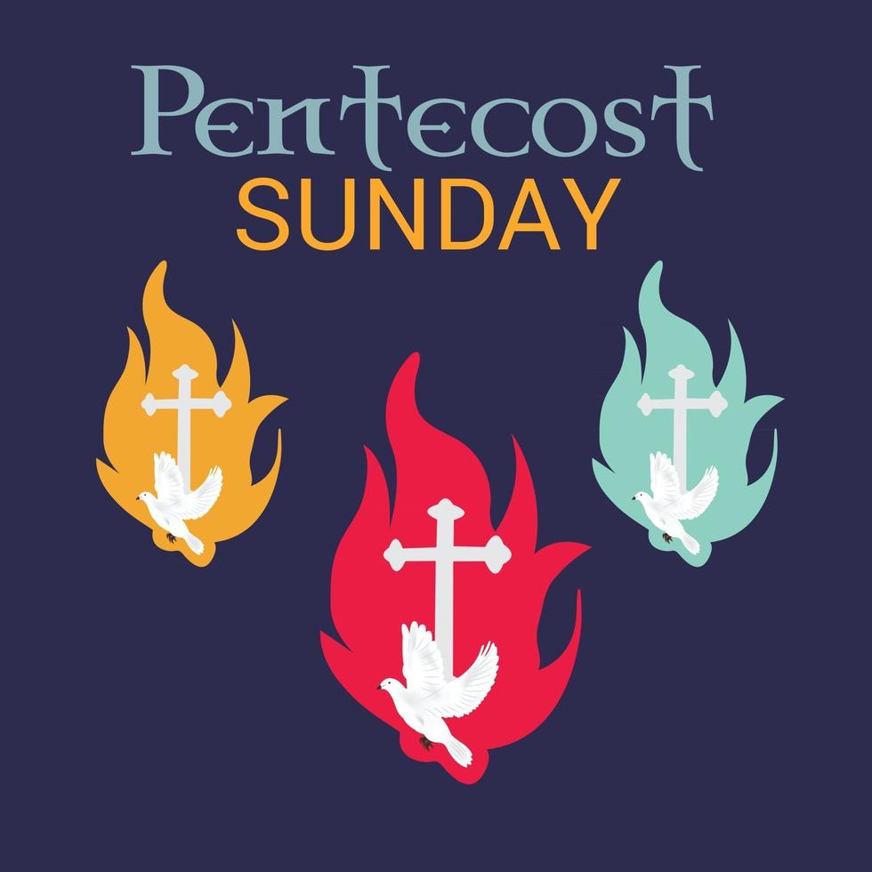 Pentecost Sunday Holy spirit dove. vector