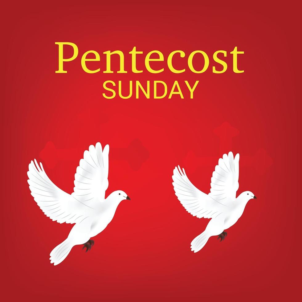 Pentecost Sunday Holy spirit dove. vector