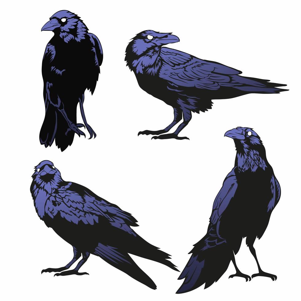 crow vector set, raven vector set