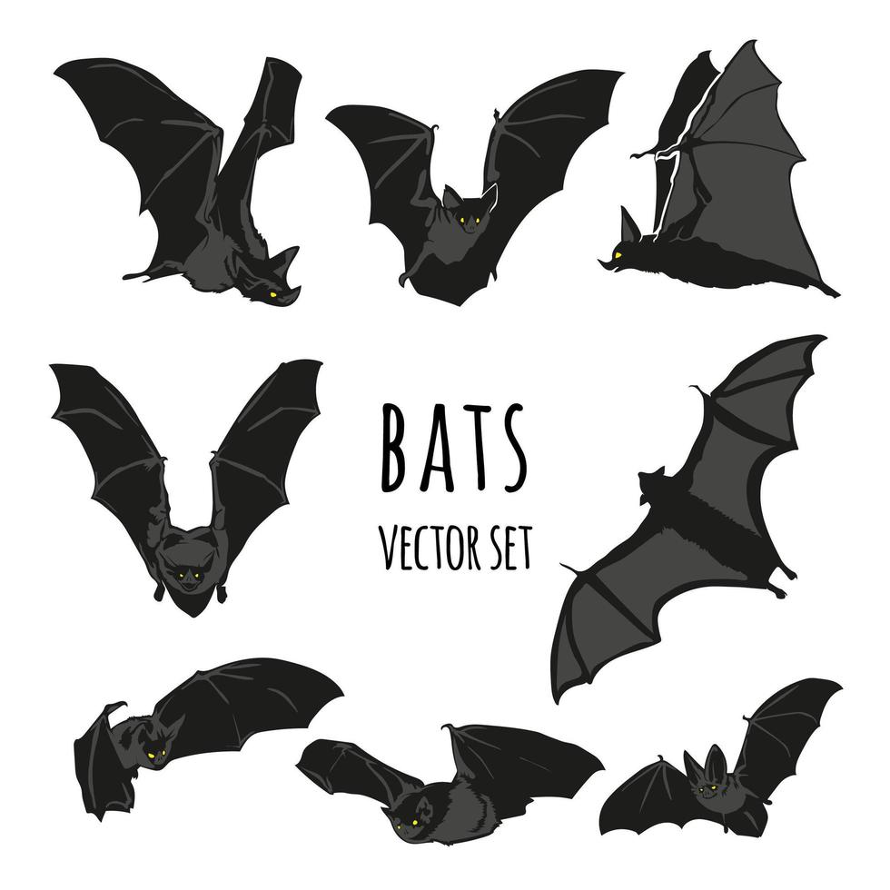 conjunto de vectores de murciélago, ilustración de murciélago de halloween