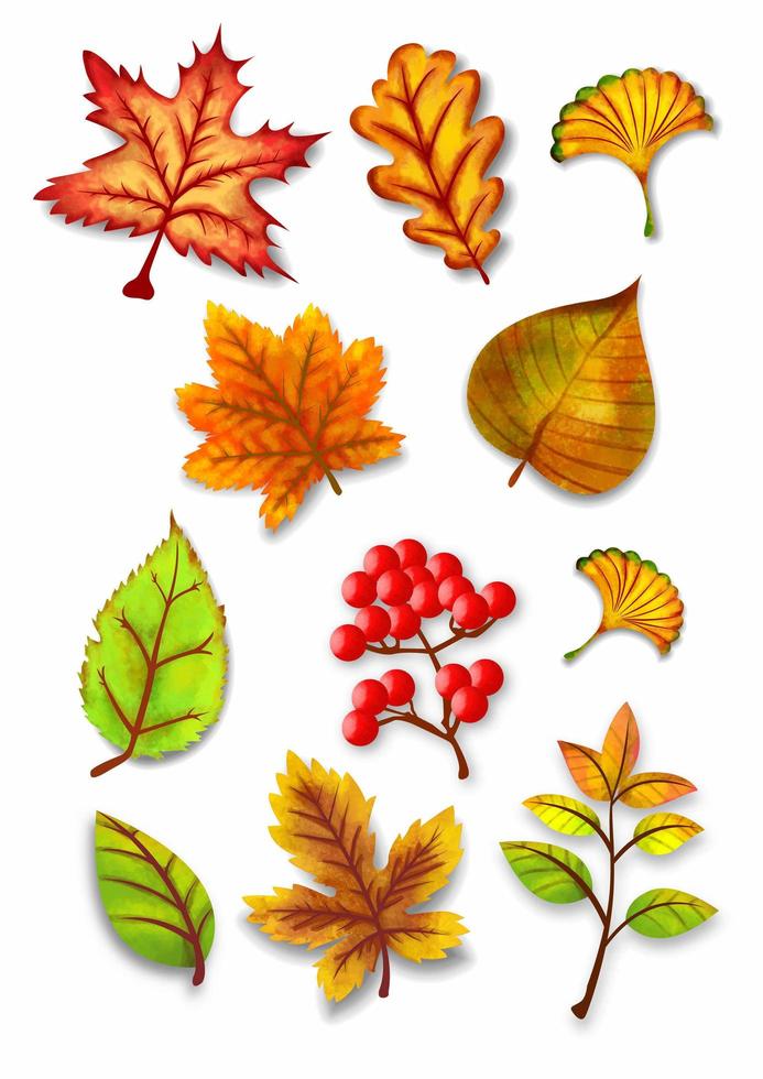 otoño acuarela hojas vector set ilustración