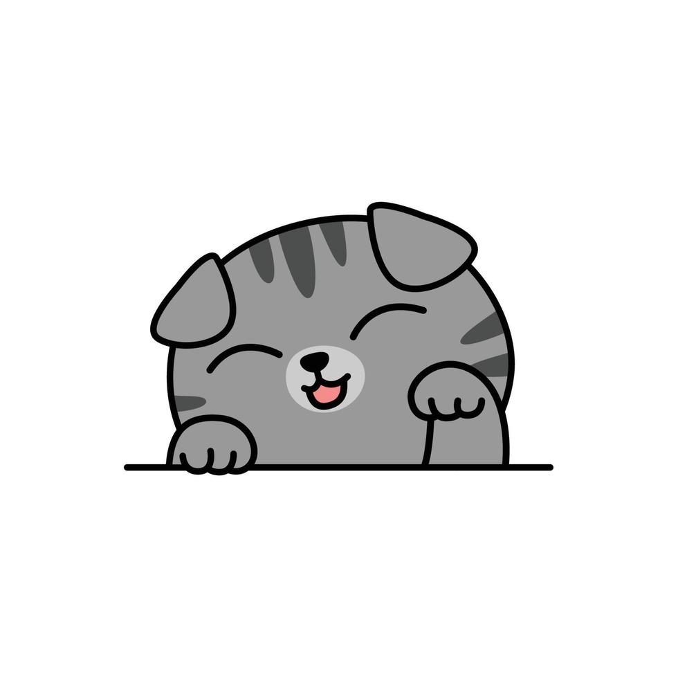 Cute gray scottish fold cat cartoon, vector illustration