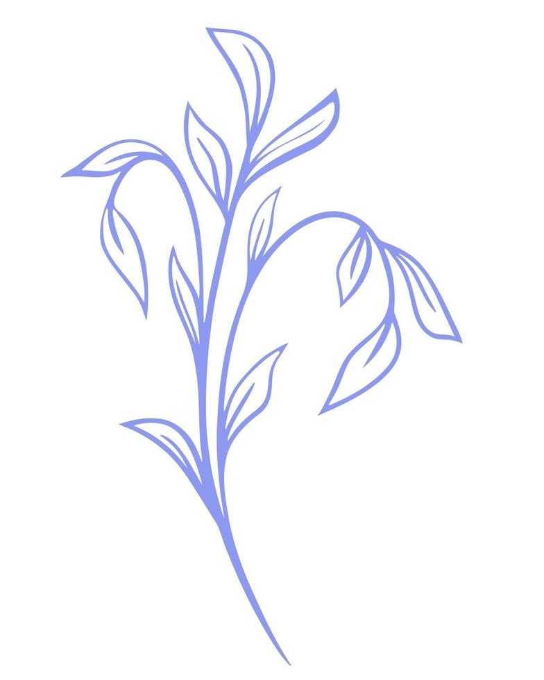 Single graceful branch with elongated leaves vector illustration