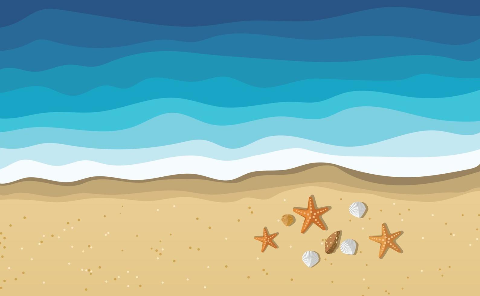 Sea water waves on beach with seashells and starfish vector