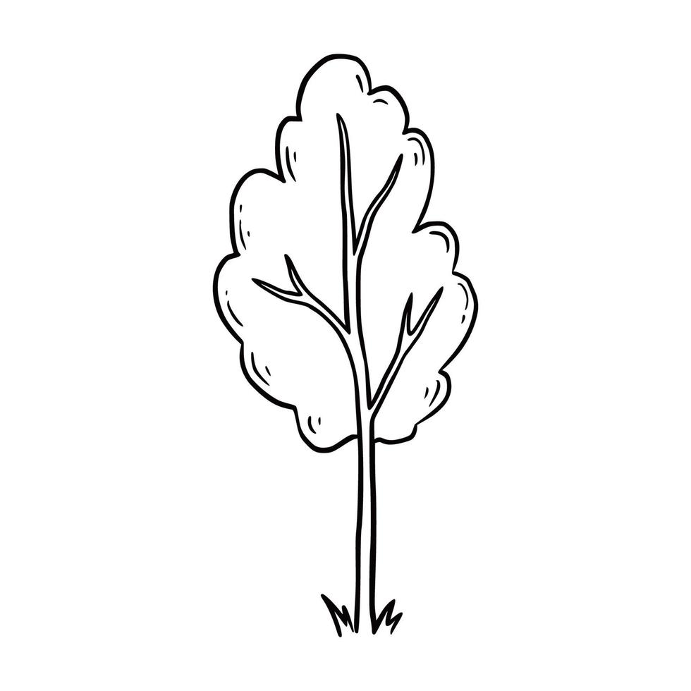 árbol dibujado a mano. bosquejo del garabato vector