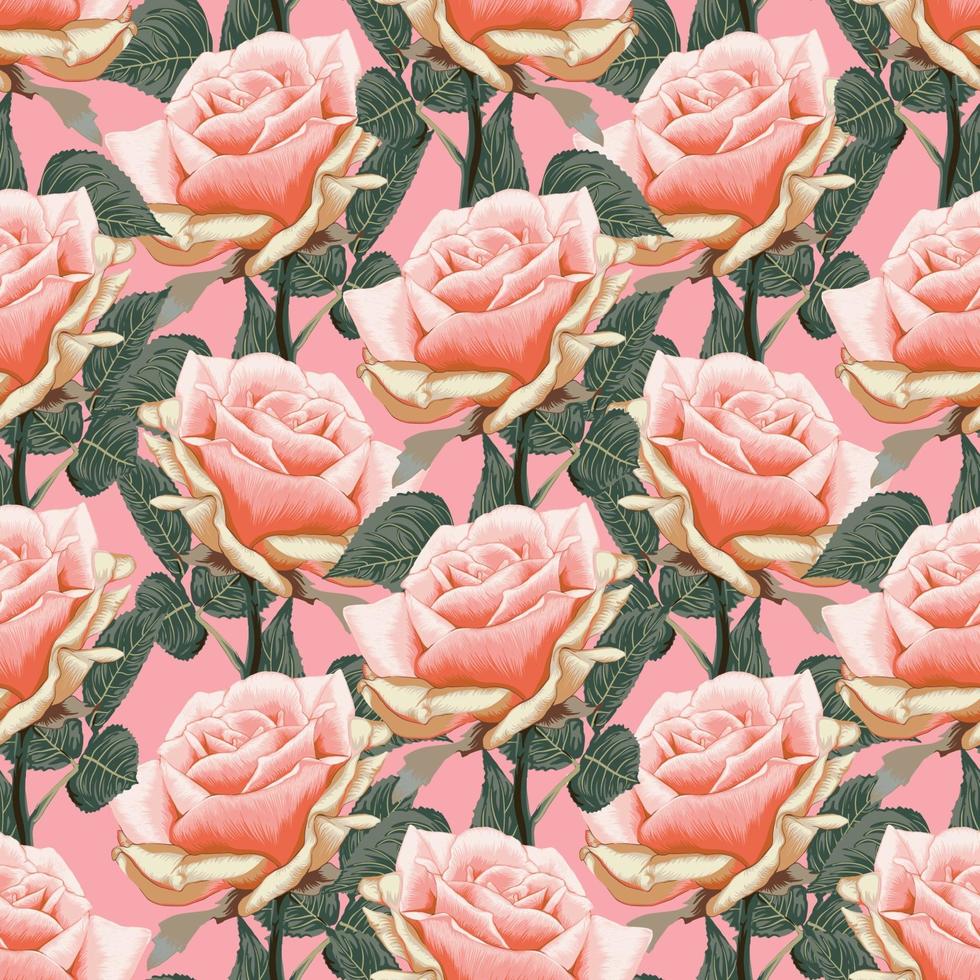 Seamless pattern floral pink Rose flowers vintage abstract background. vector