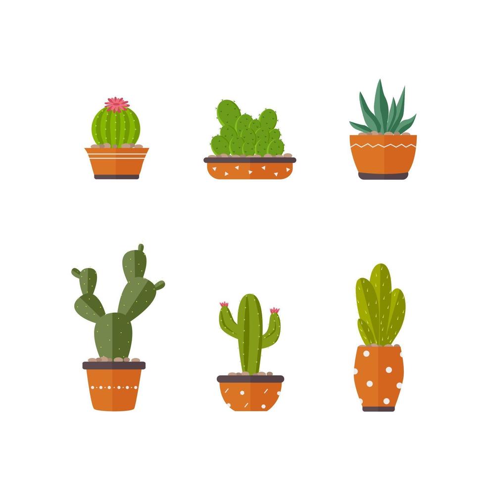 Home plants cactus in pots and with flowers. flat style vector