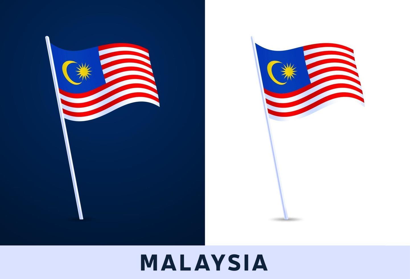 malaysia wave vector flag