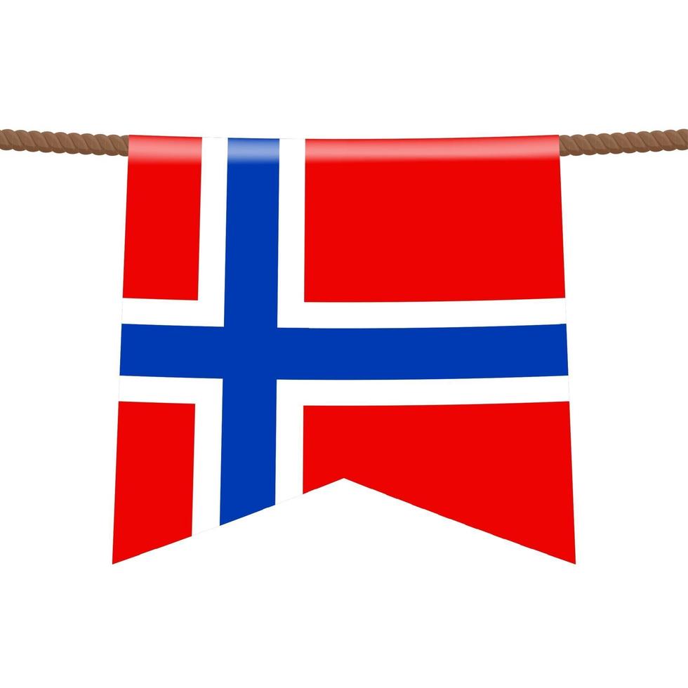 norway national flags hangs on the rope. vector