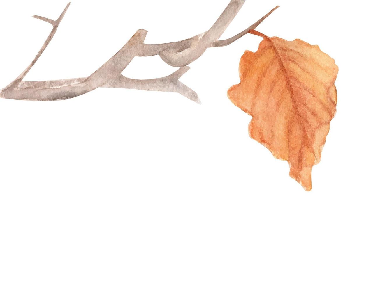 Watercolor painting of Dry branch. vector