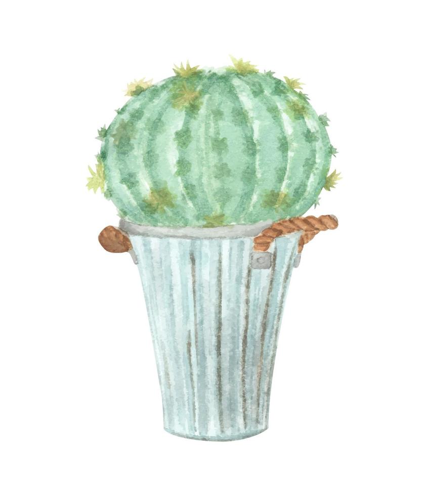 Cactus in pot. Watercolor elements for your design. vector