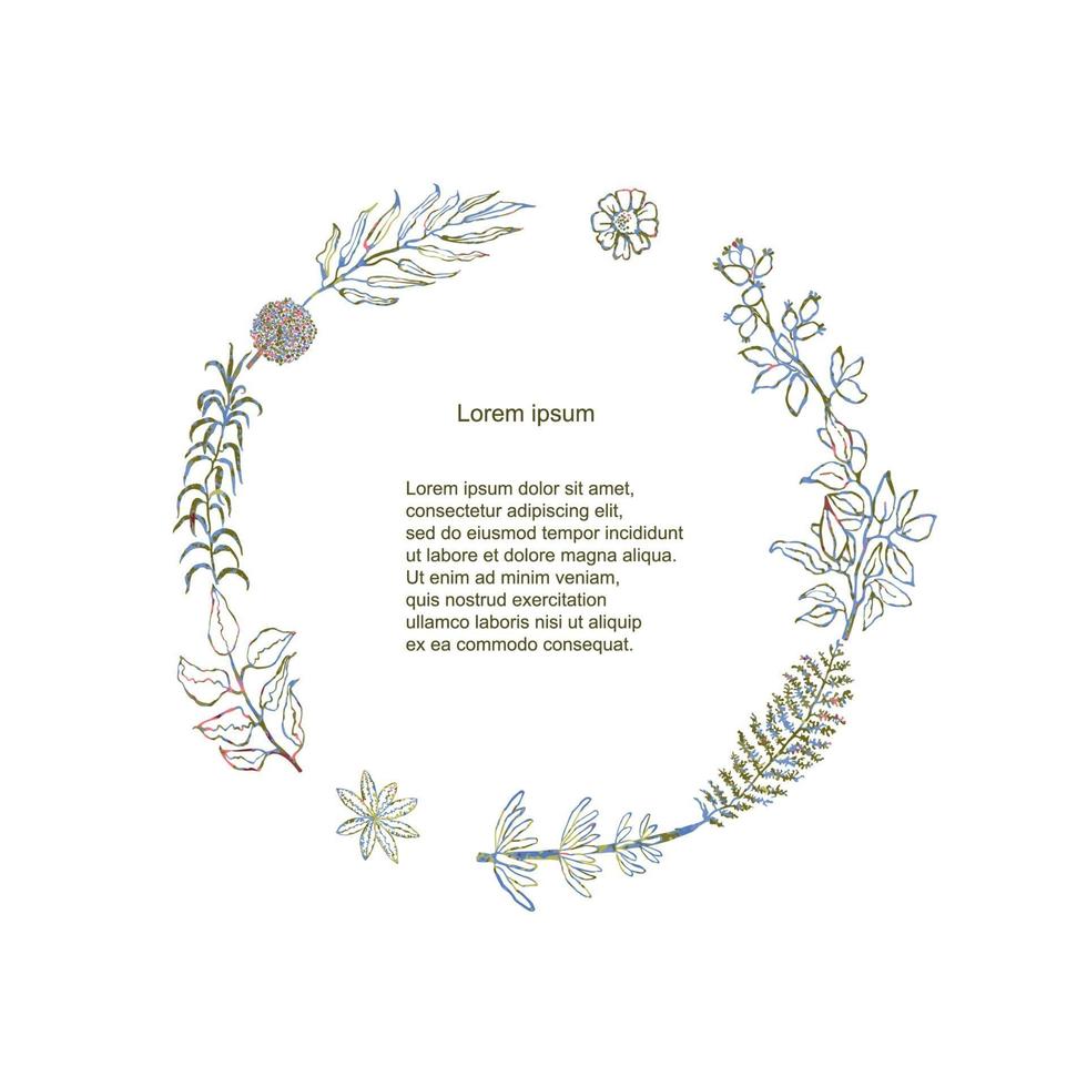 colorida ilustración de corona de flores y hierbas. marco de mano vector