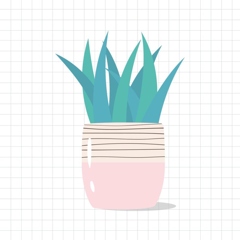 Vector illustration of house plant in Scandinavain style.