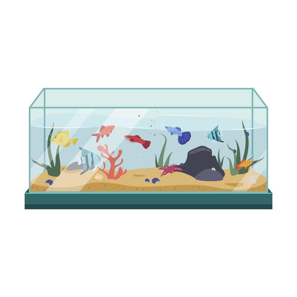 Different fish in the aquarium. Interior decoration and home life vector
