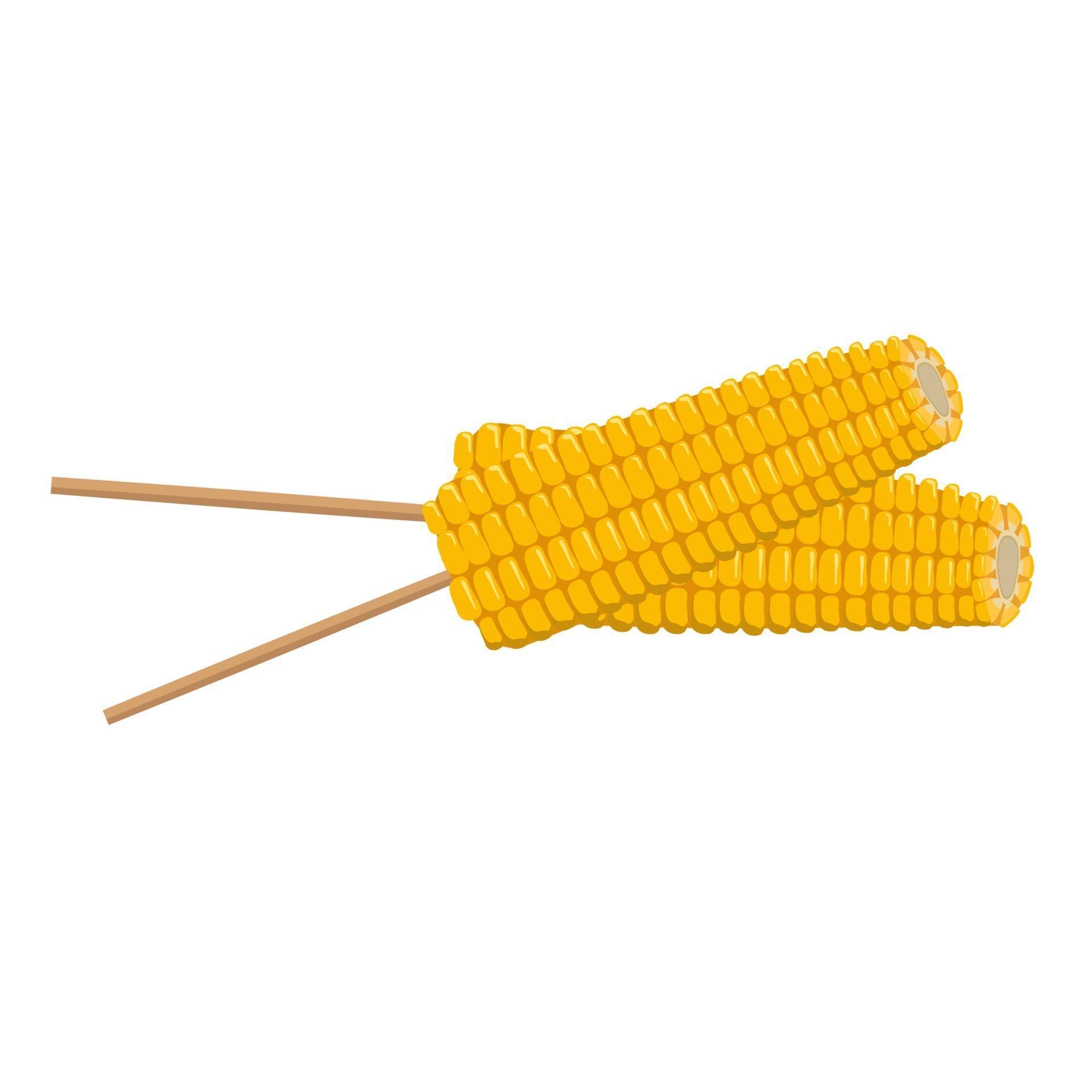 Corn cobs on a stick. Summer and autumn harvest 3432285 Vector Art at
