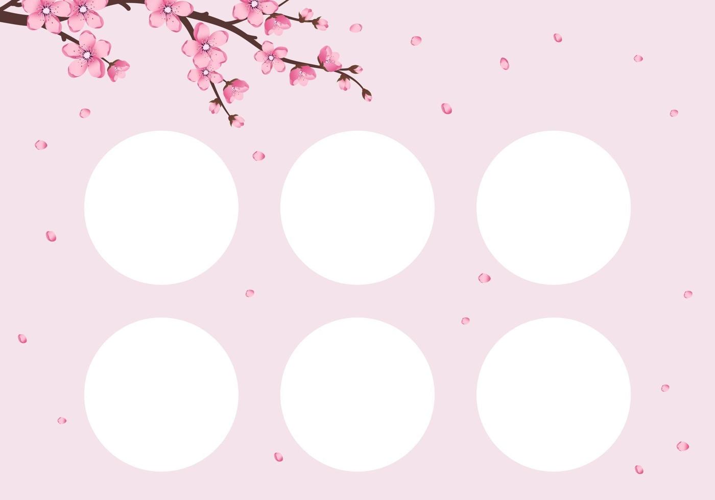 Discount card template with cherry blossom. Pink sakura flowers vector