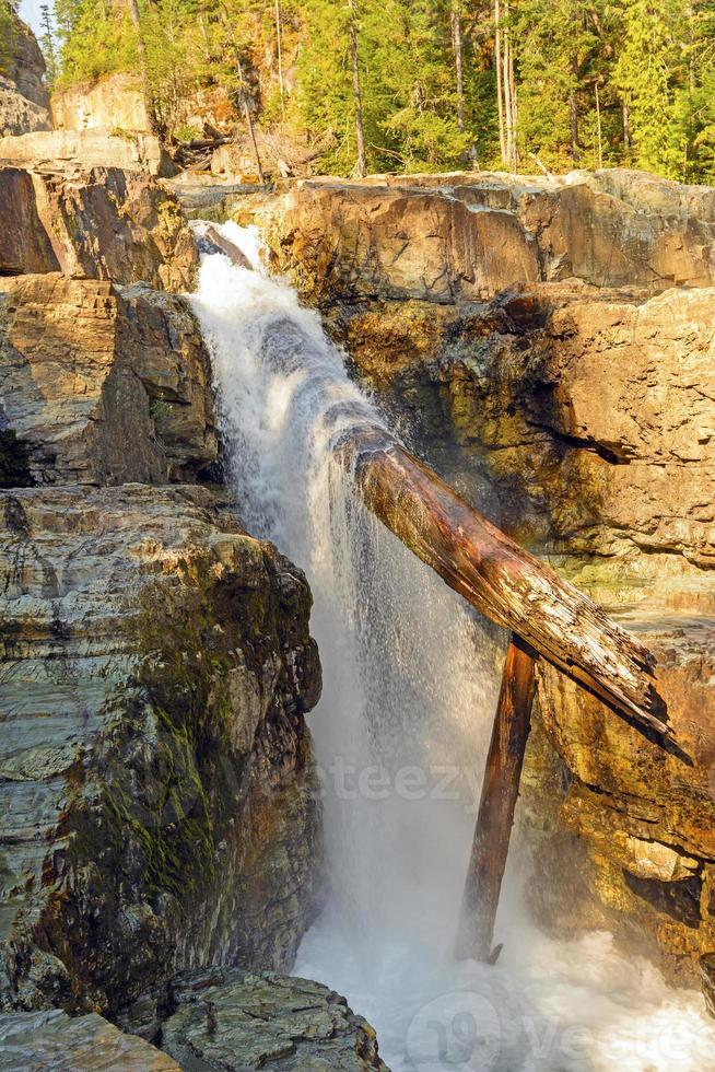 Atasco de troncos espectacular en una cascada foto