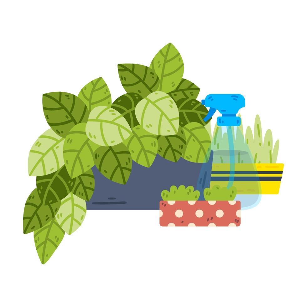 Potted houseplants. Spray bottle for water. vector