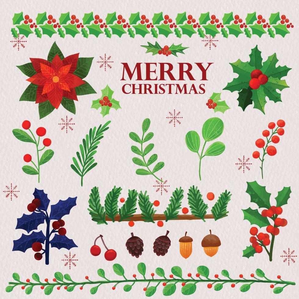 Set of watercolor painted Christmas winter plants vector