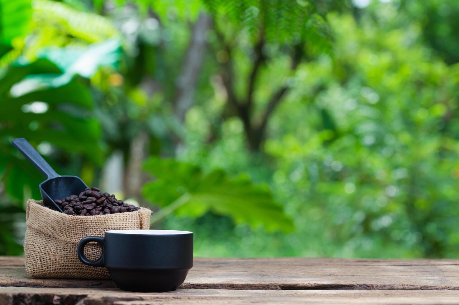 coffee beans coffee cup energy photo