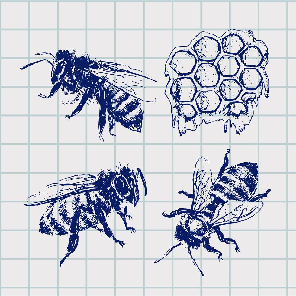 abeja dibujada a mano boceto ilustración de vector de miel negra