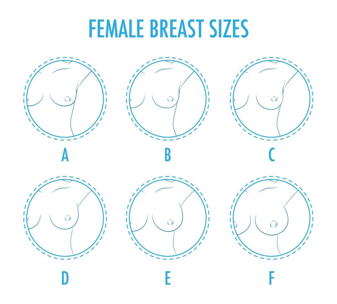 Conjunto de iconos redondos de contorno de diferentes tamaños de senos femeninos, cuerpo vector