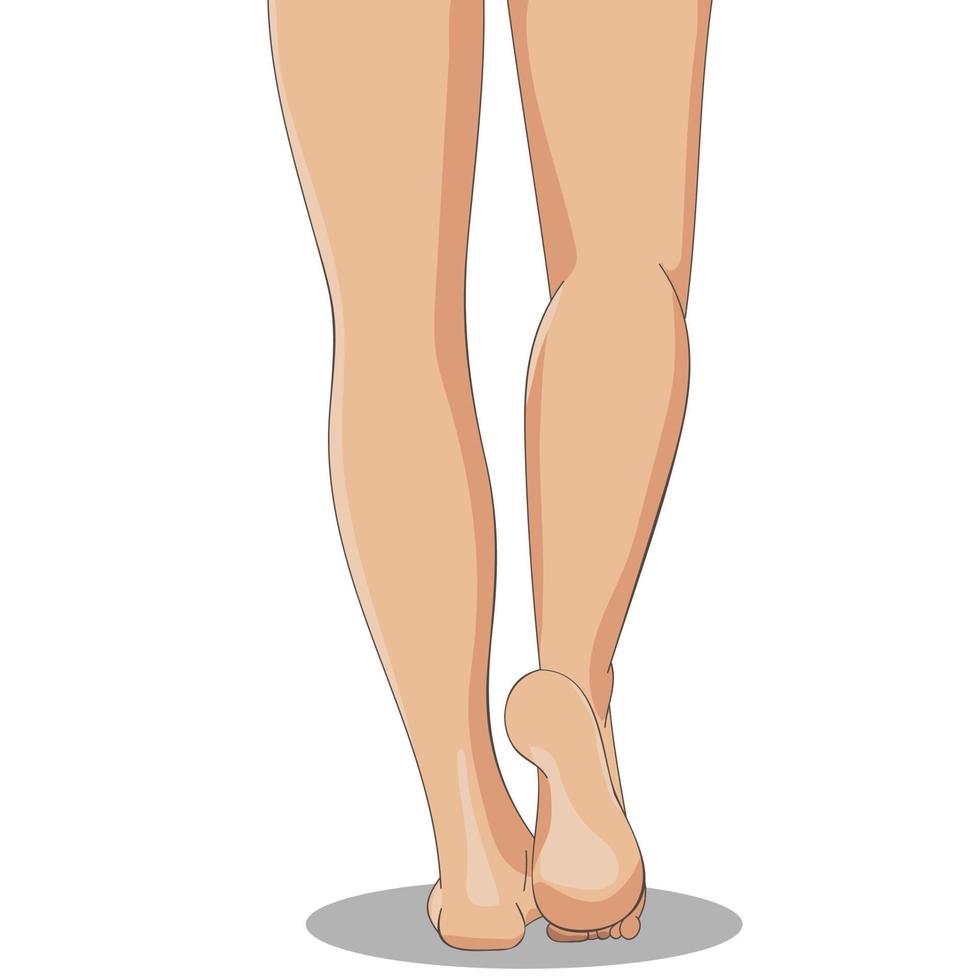 Slender female legs, barefoot, back view. Feminine concept, desi vector