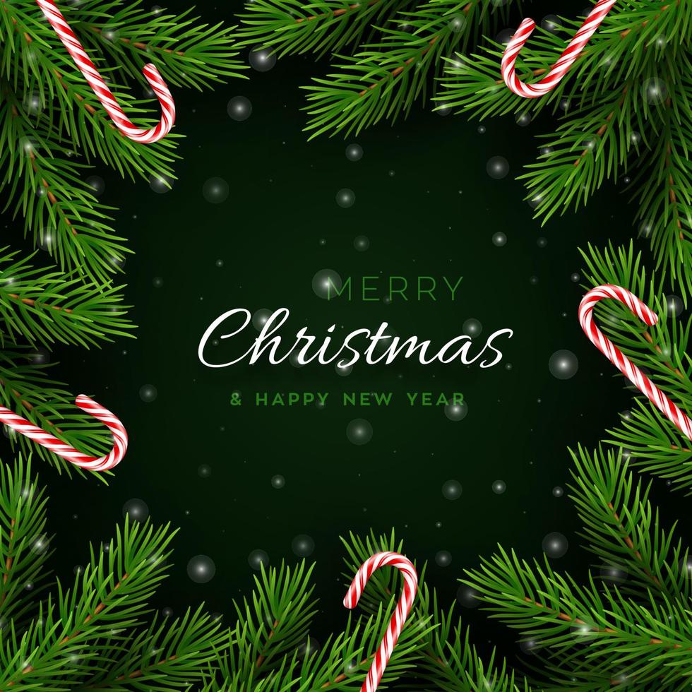 Banner de Navidad con ramas de árboles y bastones de caramelo. vector
