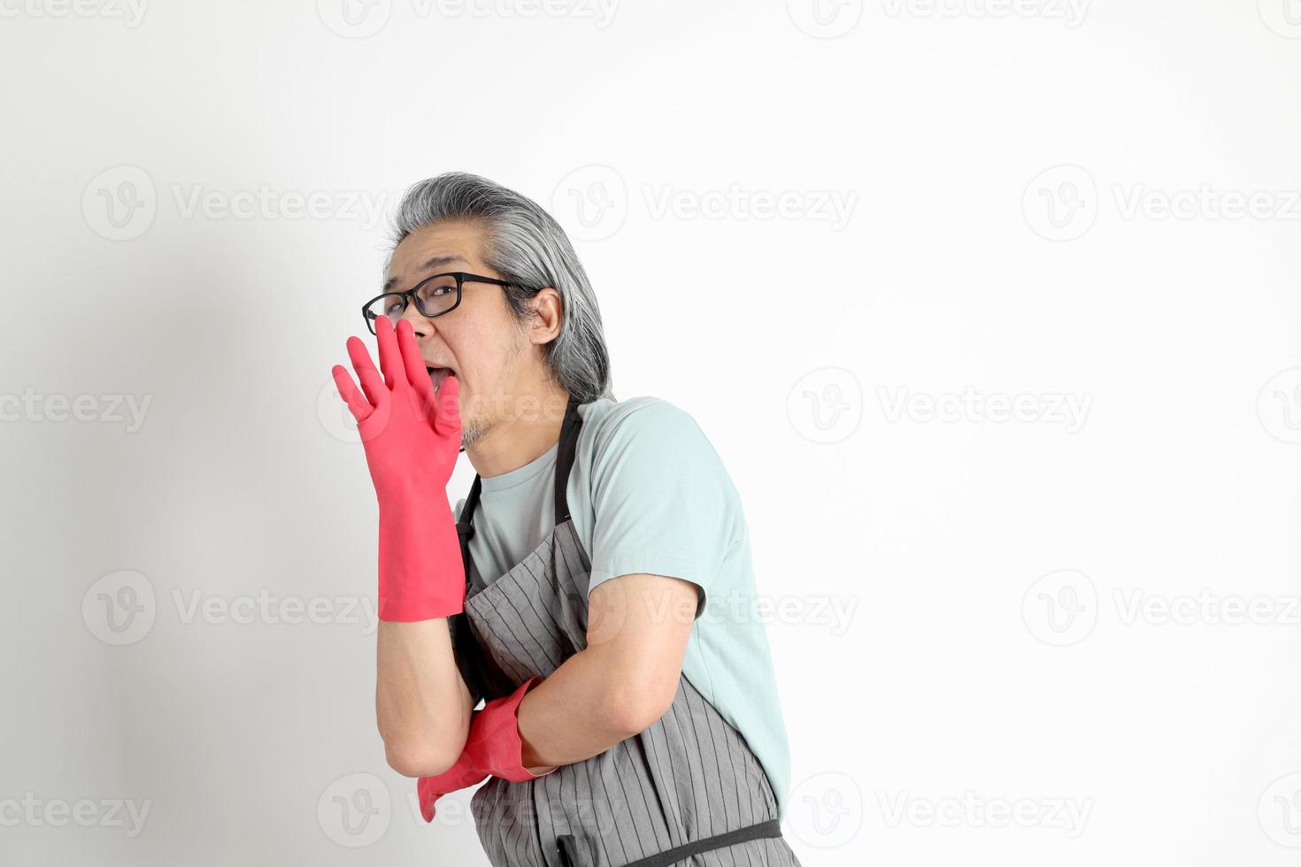 Asian Housekeeper Isolated photo