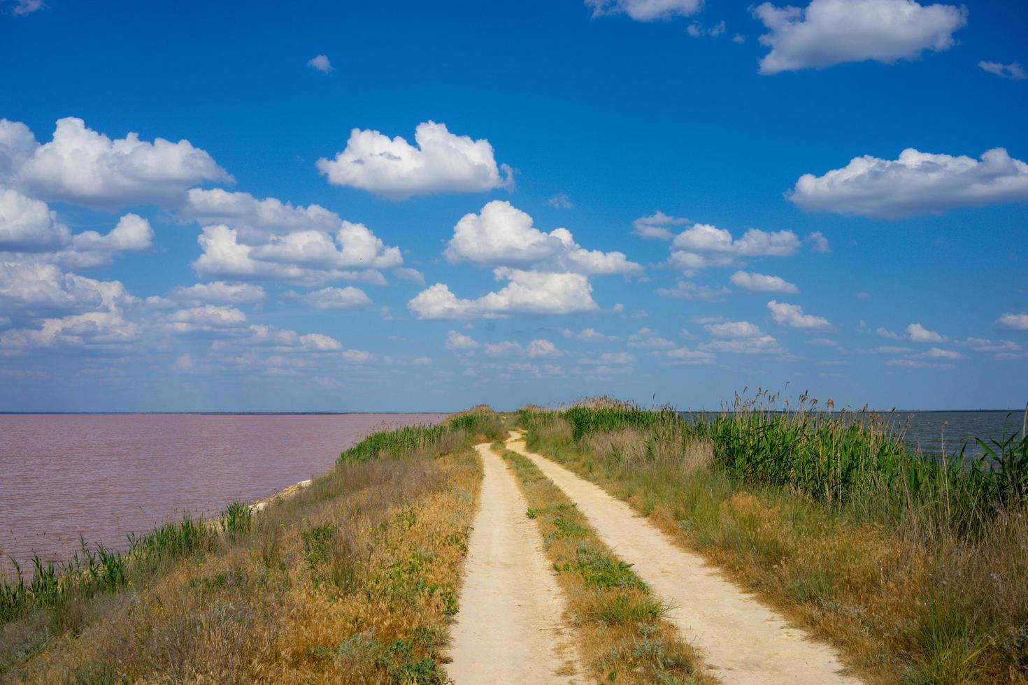 Natural landscape with a fantastic pink lake photo