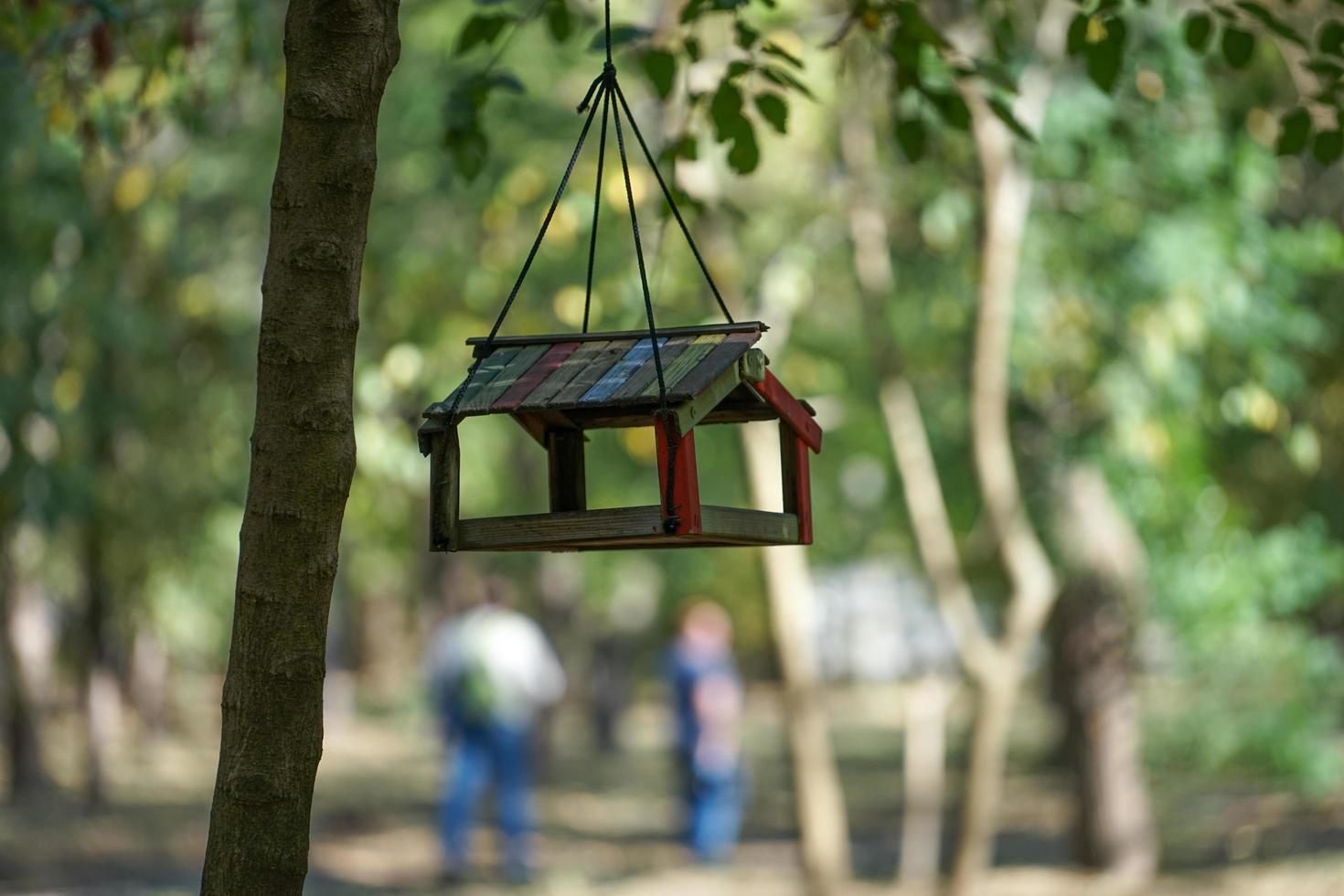 Bird feeder on a tree with a bird placed in the city Park photo