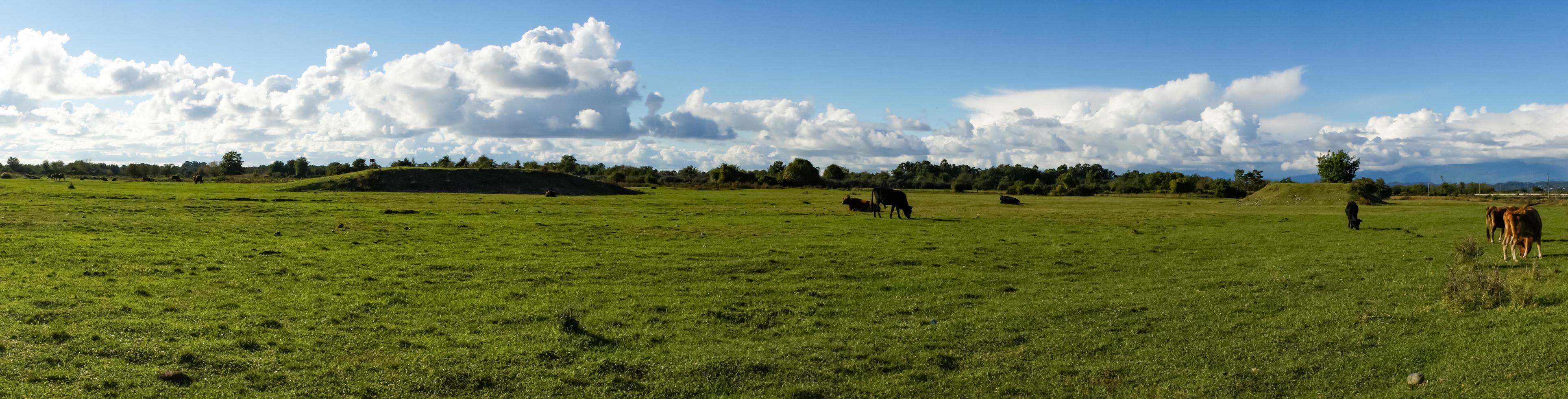 Natural panorama with green grass photo