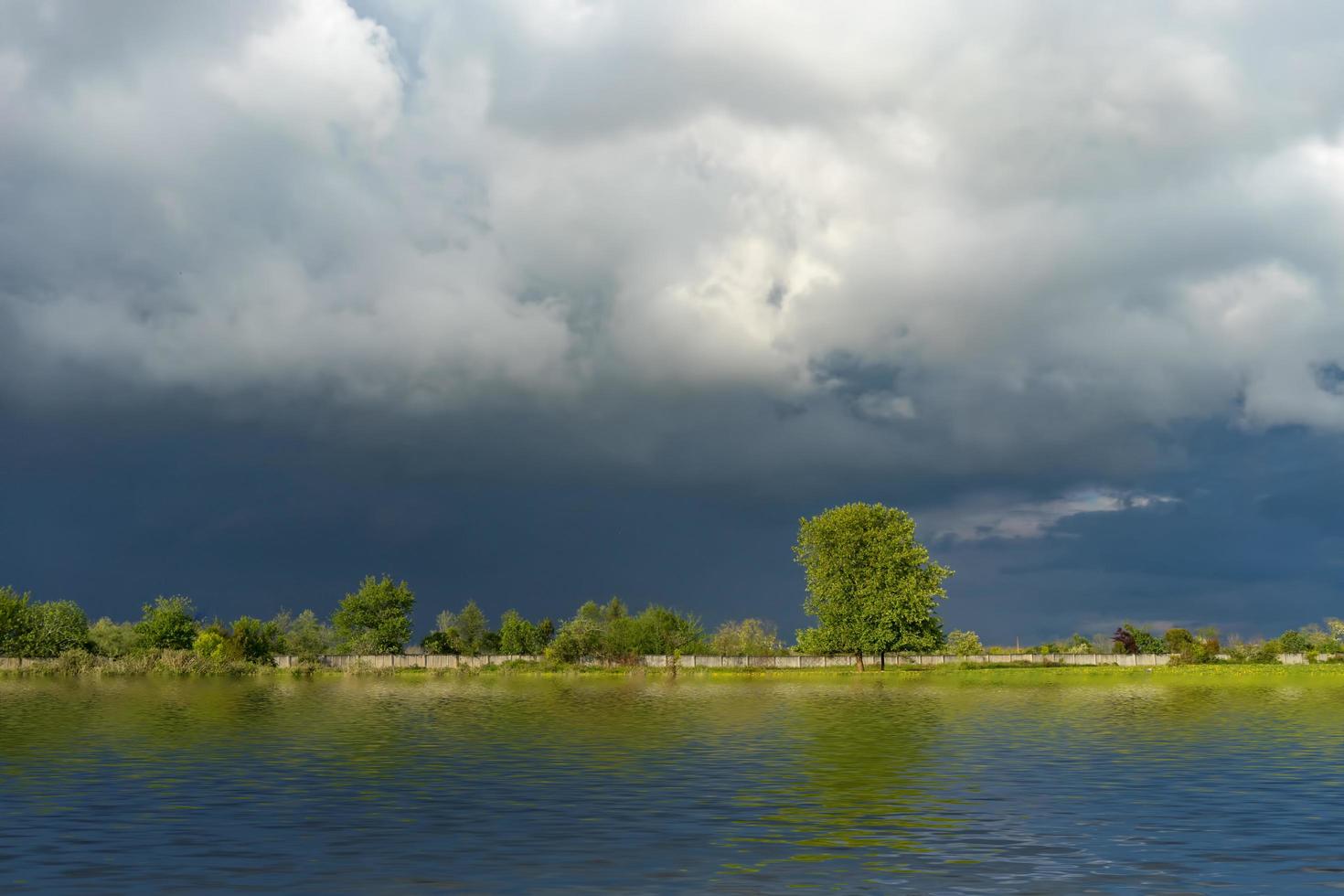 natural landscape with a field covered with green grass photo