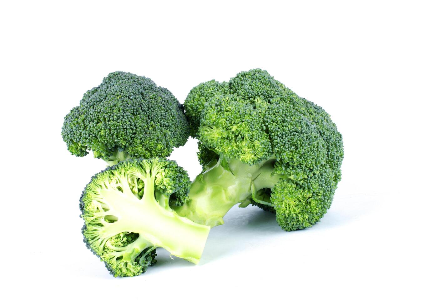 Green broccoli with macro close up on white backgrounds photo