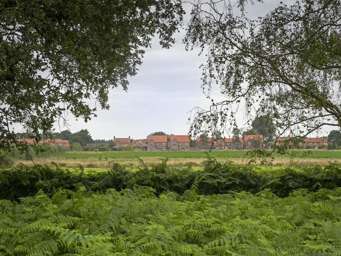 Skipwith Village visto desde Skipwith Common, North Yorkshire, Inglaterra foto