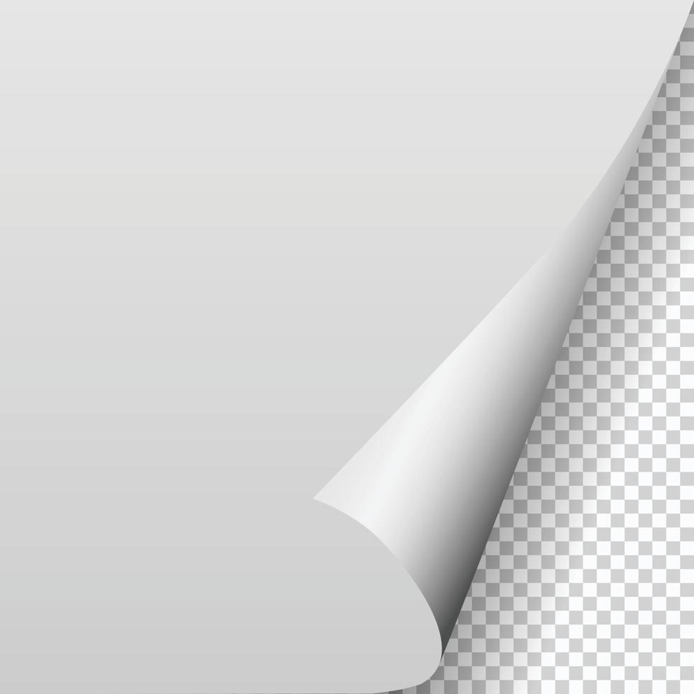 Paper blank page curled corner with shadow vector