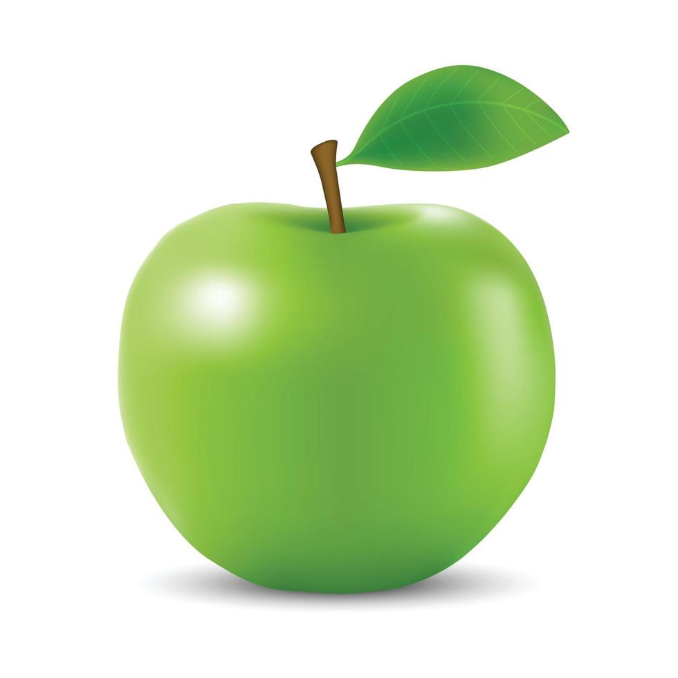 Realistic 3d apple Isolated Template for your design vector