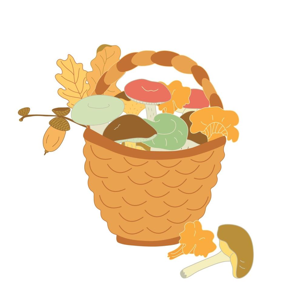Autumn wicker basket full of forest  mushrooms, oak leaves and acorns vector