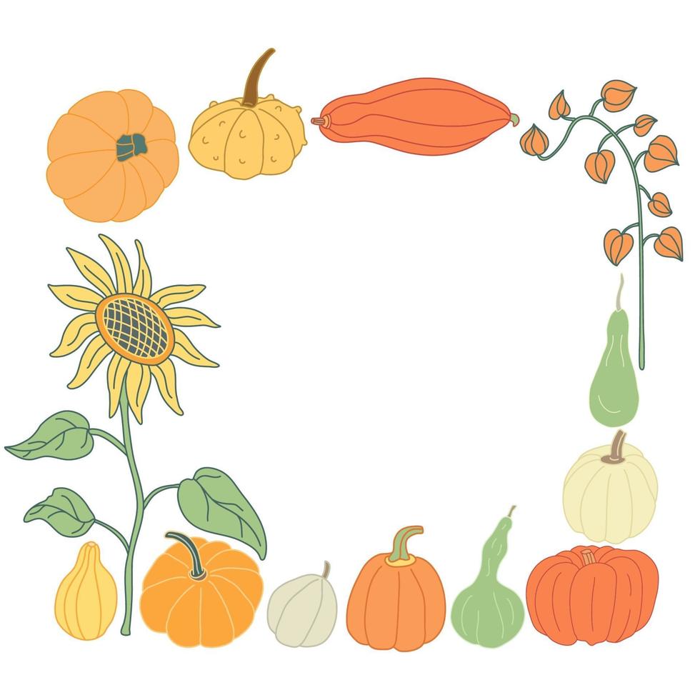 Marco de doodle de color con calabazas de colores y plantas de otoño vector