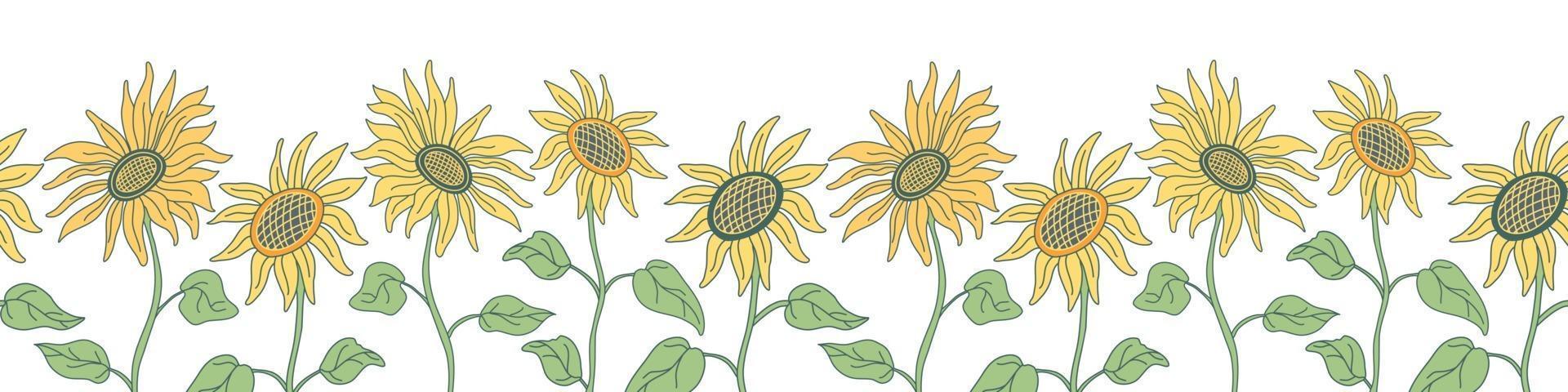 borde sin costuras con bonitos girasoles en tallos largos. vector