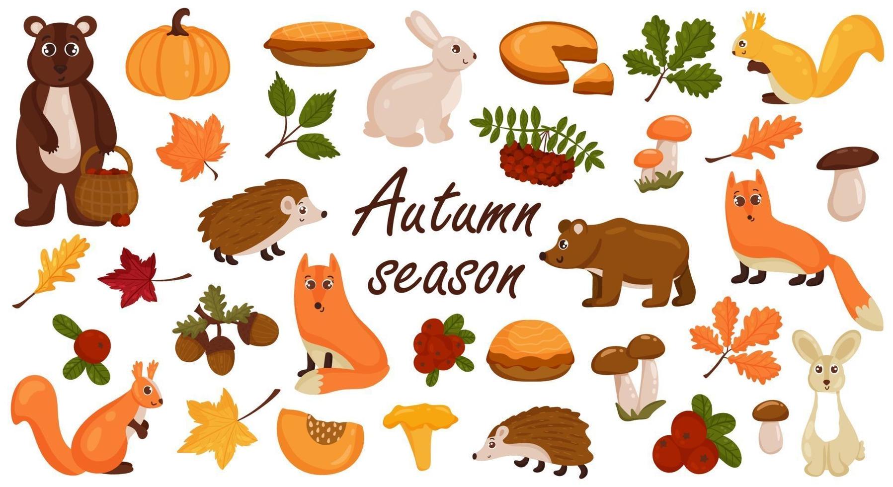 conjunto de elementos otoñales, animales, setas, coloridas hojas de otoño. vector