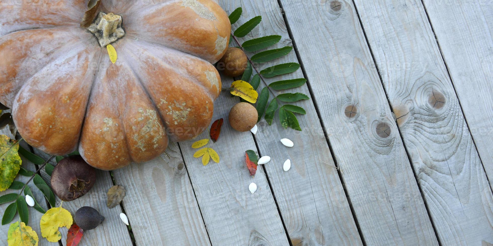 Pumpkin on a wooden background with an empty field for text photo