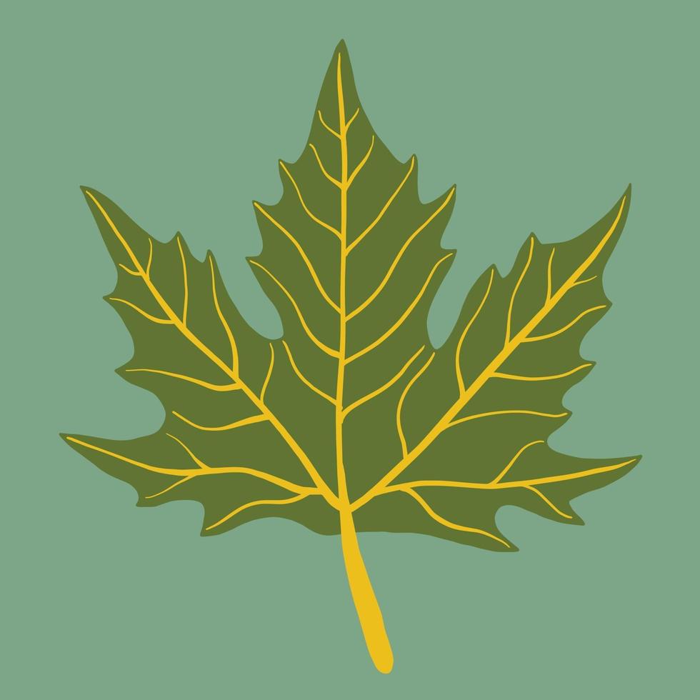 Simplicity maple leaf freehand drawing flat design. vector