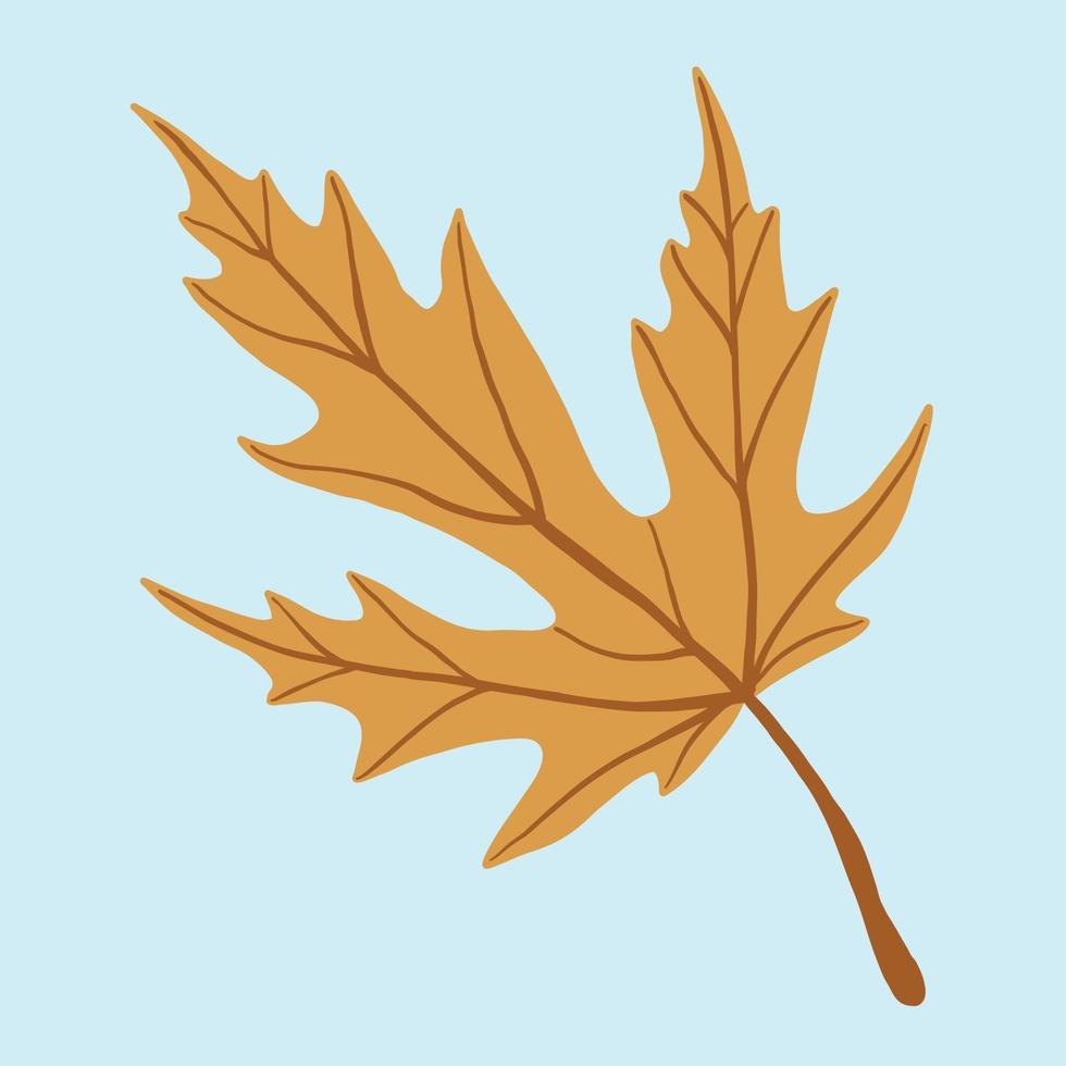 Simplicity maple leaf freehand drawing flat design. vector