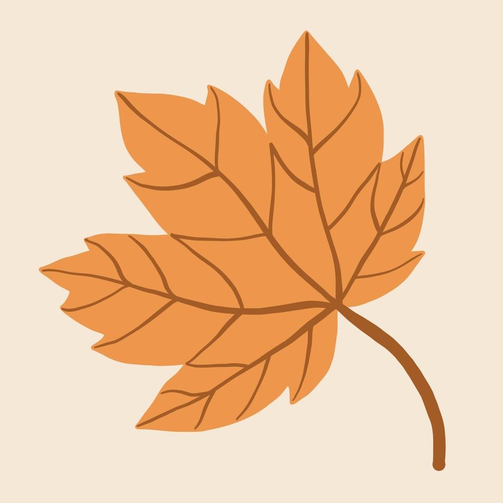 Simplicity maple leaf freehand drawing flat design. vector