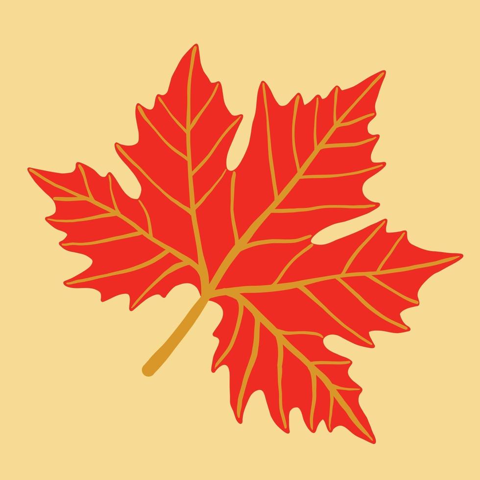 Simplicity maple leaf freehand drawing flat design. vector