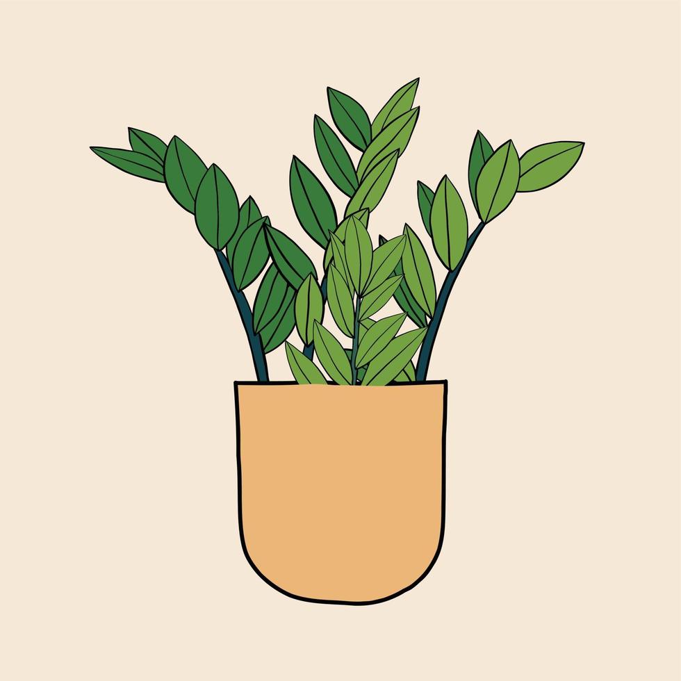 Simplicity zanzibar gem plant simplicity freehand drawing flat design. vector