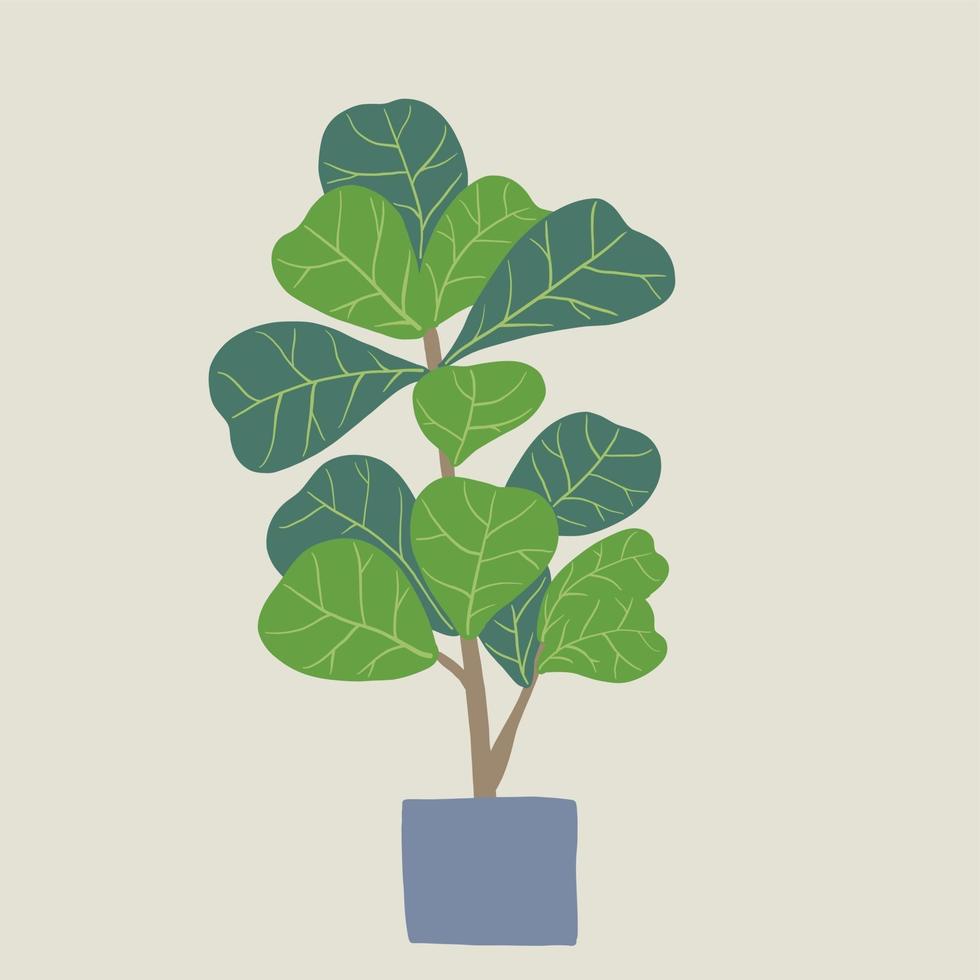 Doodle freehand sketch drawing of fiddle leaf fig tree. vector