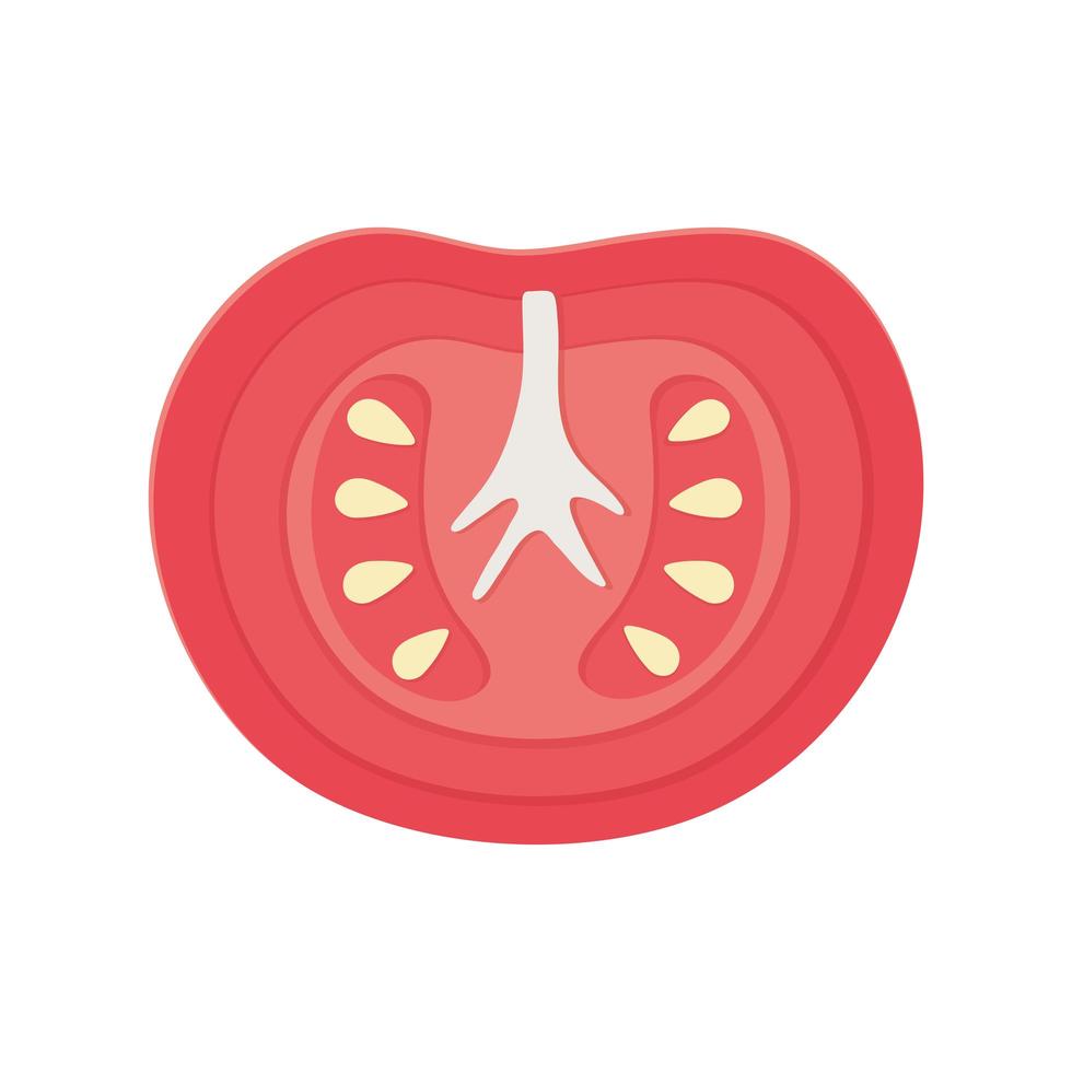 slice tomato vegetable vector